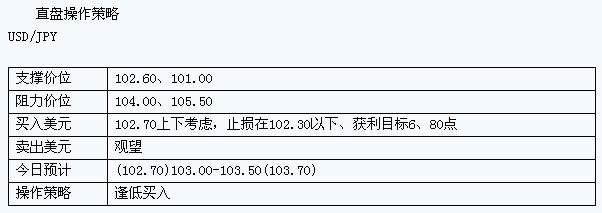 dp1.jpg