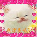 fe541696564d87087f.gif