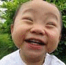 1.gif