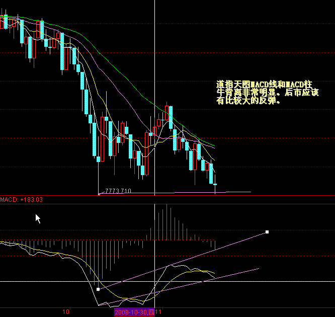 DJI1DAY.gif