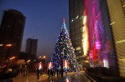081130126c_1.jpg