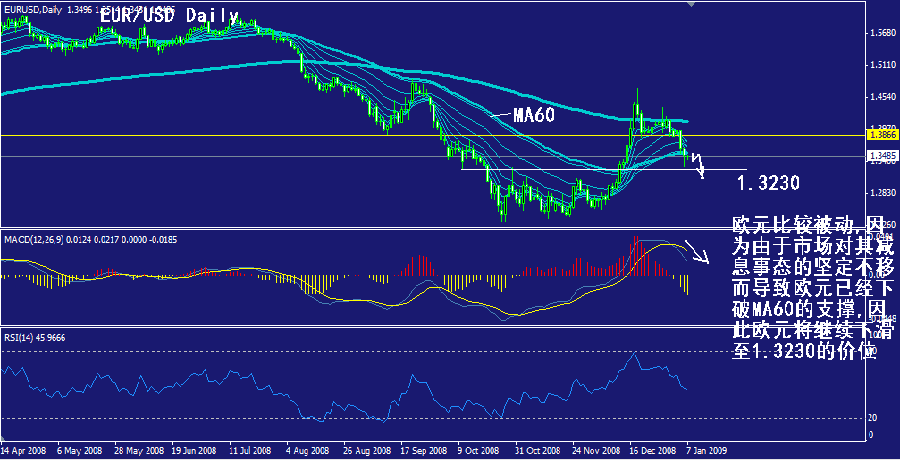eur-daily.gif