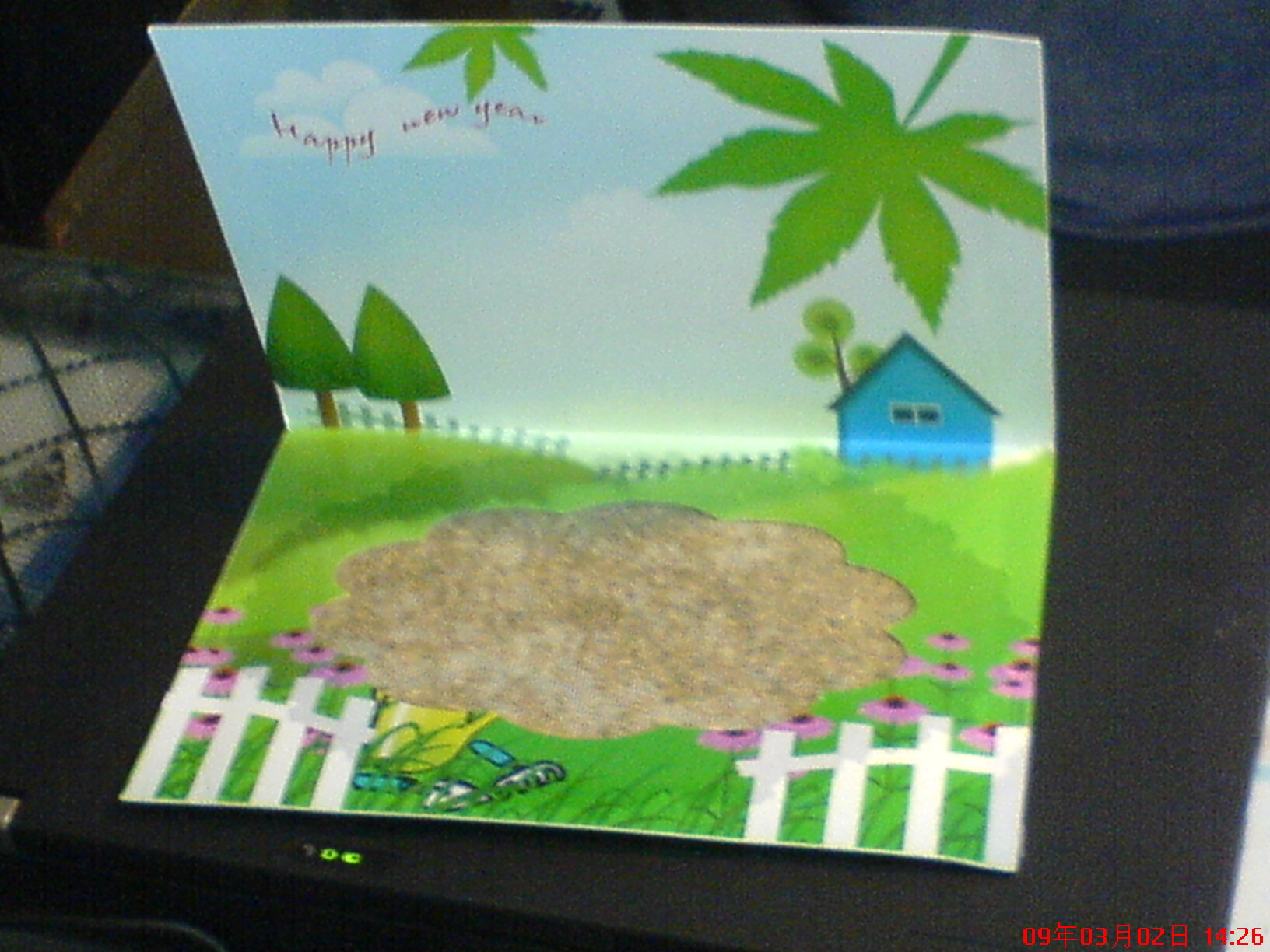 DSC00004.JPG
