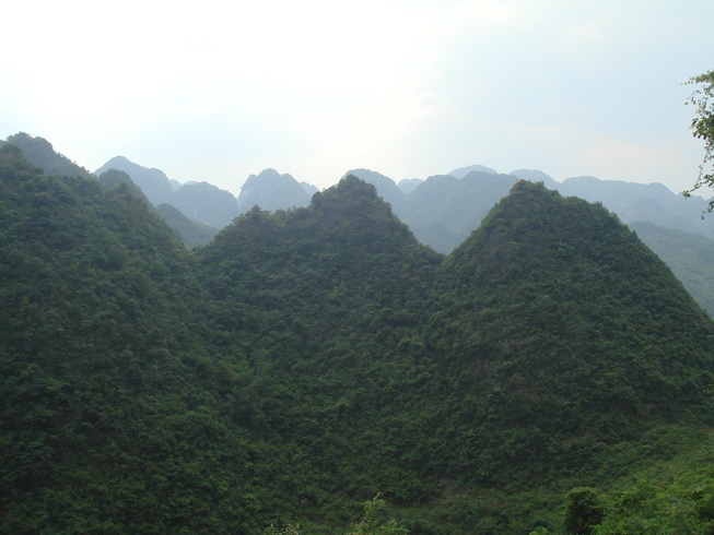 DSC06070_С.JPG