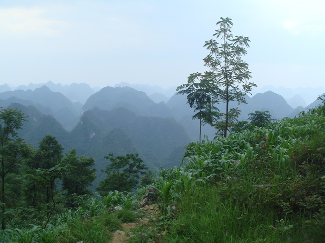 DSC06090_С.JPG