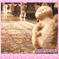 10DA8830DBFDCA908A970CC288E661AB.GIF