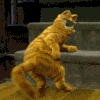 0FA23EA5BB69CCDE3E2912892BC4D6E8.GIF
