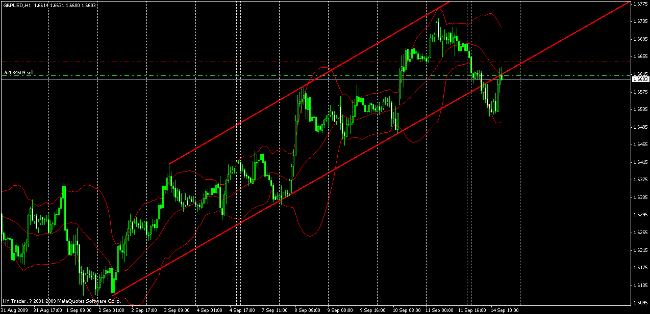 gbp.gif