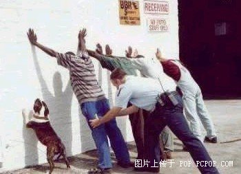 ȫǽ.jpg