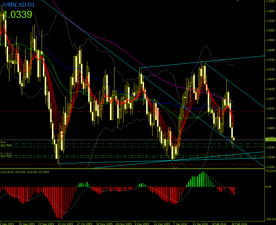 USDCAD 20100303.GIF