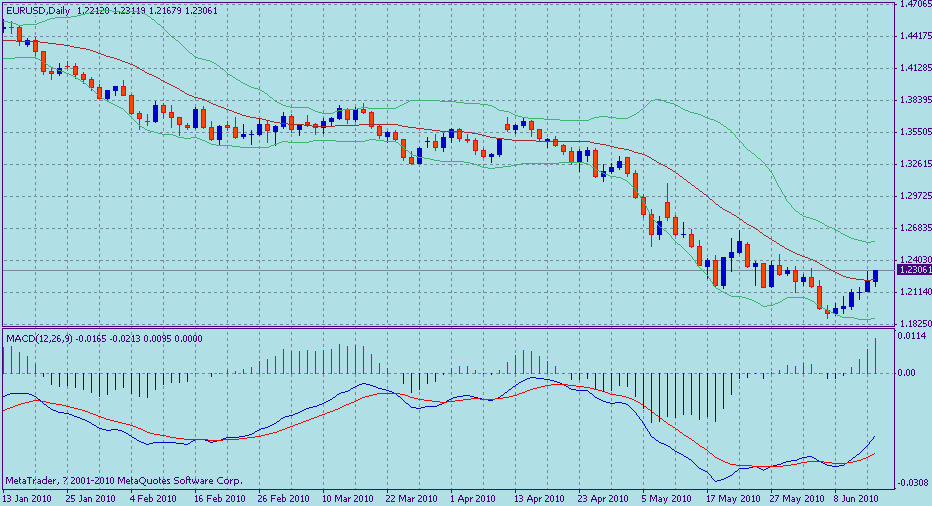 euro.gif