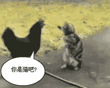 1278558689046.gif