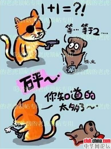 1280203358556.jpg