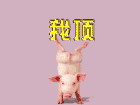 u=1699765663,4038077020&fm=0&gp=0.jpg