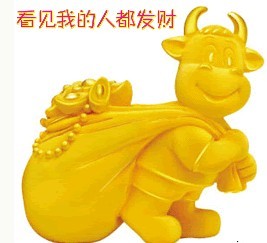 sa.jpg