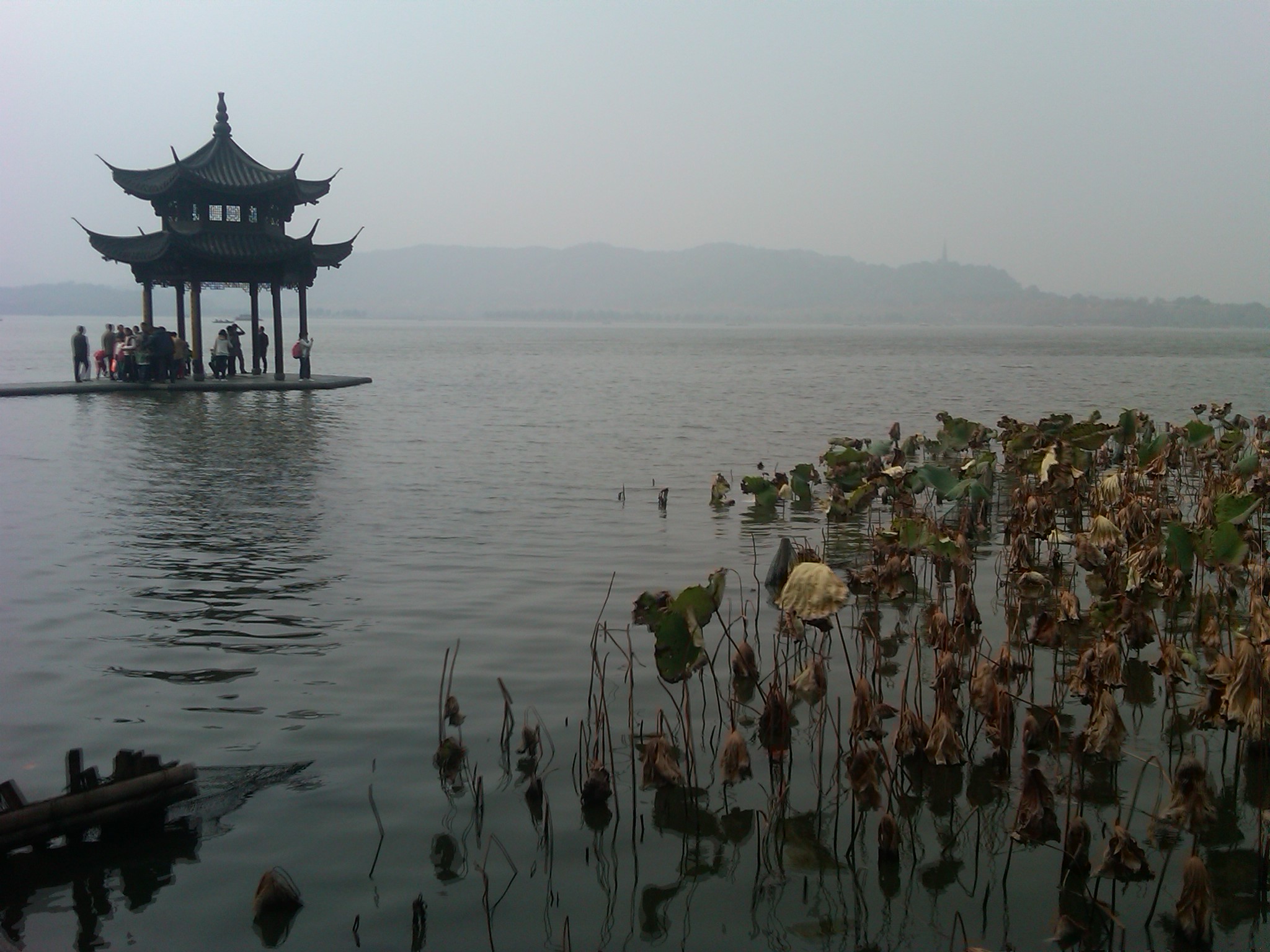 IMG-20111120-00329.jpg