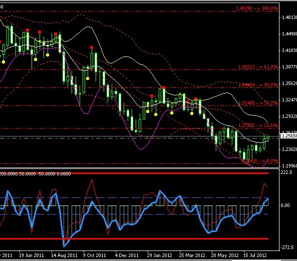 EUR W.jpg
