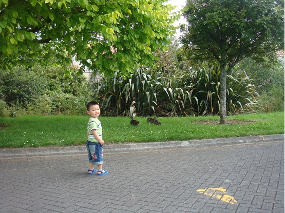 DSC02125.JPG