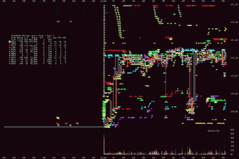 5.gif