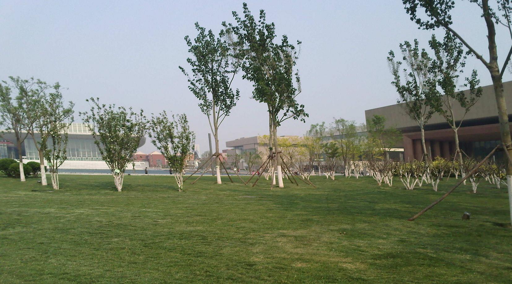 9.JPG