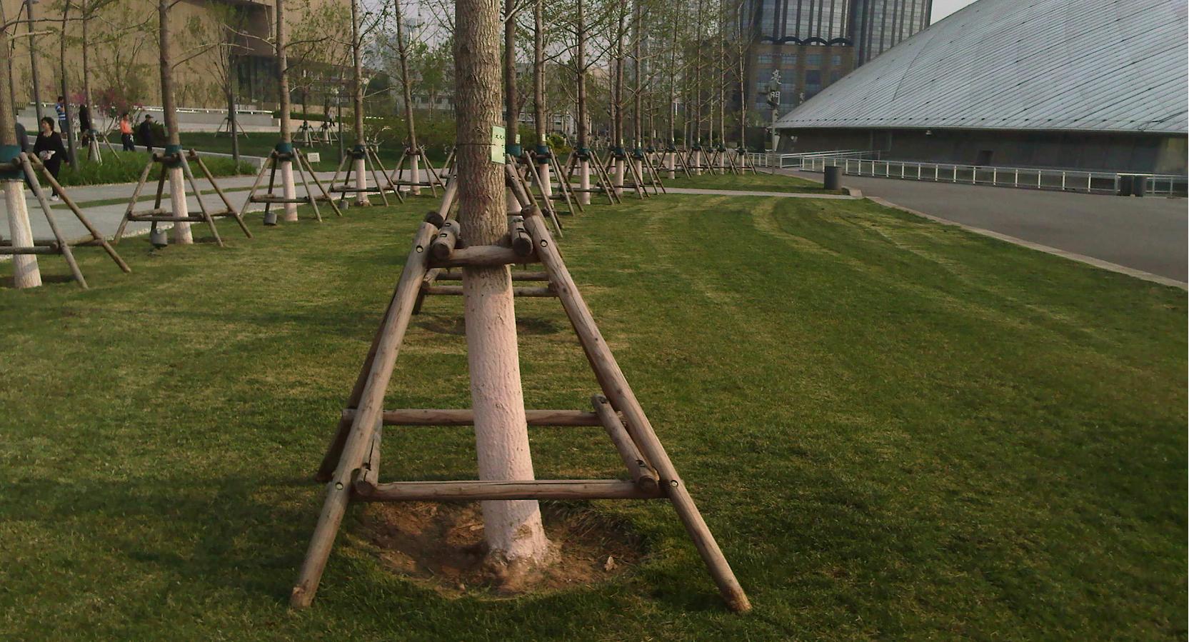 8.JPG