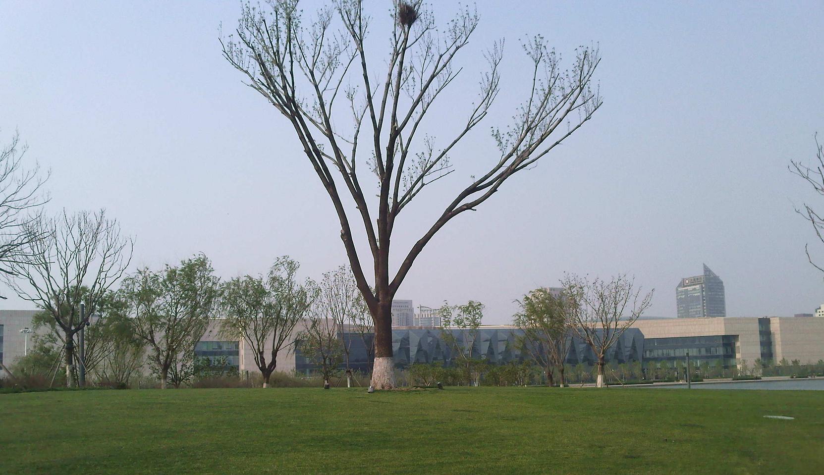 14.JPG