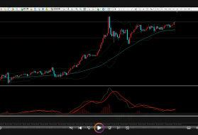 栾雪-真正的顺势而为